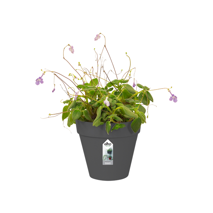 loft urban green wall single 15cm antraciet